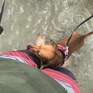 Meet your Posher, John